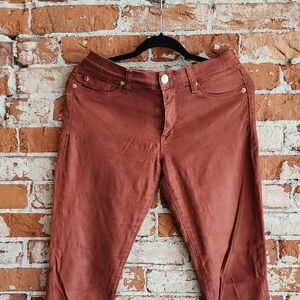 Rust Red Hudson Jeans